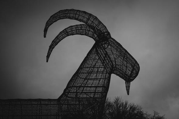 A monochrome greyscale photograph of the head and horns from the side of a several meters tall LED decorated yule goat during daytime, when it is not lit up. 

The goat is constructed as a wireframe and stands silhouette against a cloudy sky and the top of a tree can be seen at the lower edge of the image