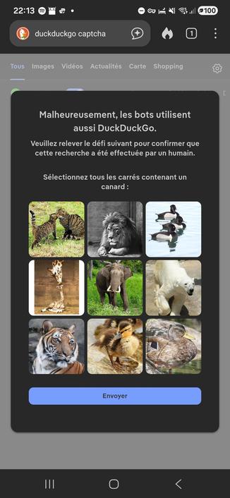 Captcha à la c** pour vérifier qu'on soit bien un puta*n d'humain avant d'accéder à une requête... #DDG enshitification