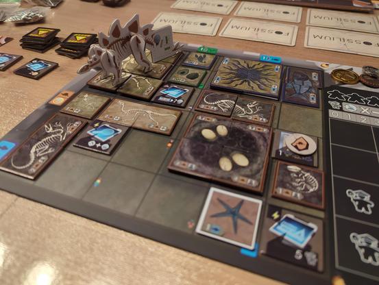 Museumsauslage. Darauf Plättchen, die verschiedene Fossilien darstellen. Ein 3D Modell eines Stegosaurus steht auf den dazugehörigen Plättchen. Drum herum liegen weitere Spielmaterialien.