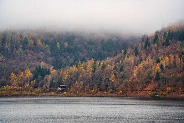 Das Bild zeigt eine neblige Herbstlandschaft an einem Gewässer, wahrscheinlich einem See oder Stausee, umgeben von bewaldeten Hügeln.
​Vordergrund: Das Wasser nimmt den unteren Teil des Bildes ein. Es ist dunkel und ruhig, mit einer leicht strukturierten, grauen Oberfläche, die die melancholische Stimmung verstärkt.
​Mittelgrund: Direkt am Ufer steht ein kleines, dunkles Haus oder eine Hütte. Es wirkt isoliert und fügt der ansonsten reinen Naturkulisse einen menschlichen Akzent hinzu. Die Hütte steht auf einem kleinen, flachen Streifen Land, bevor der Wald steil ansteigt.
​Hintergrund: Der Hügel ist dicht bewaldet und zeigt die typischen Herbstfarben. Man sieht eine Mischung aus Nadelbäumen (dunkelgrün) und Laubbäumen, deren Blätter in leuchtenden Gelb-, Orange- und Rosttönen gefärbt sind. Die Farben bilden einen warmen Kontrast zu dem ansonsten gedämpften Licht.
​Stimmung: Die Spitze des Hügels und der Himmel sind in einen dicken, weißen Nebel oder Dunst gehüllt, der die Konturen weicher macht und eine geheimnisvolle, fast mystische Atmosphäre schafft. Das Licht ist weich und diffus, was auf einen frühen Morgen oder einen bewölkten Tag hindeutet.
​Zusammenfassend strahlt das Bild eine Atmosphäre der Ruhe, Abgeschiedenheit und kühlen Herbststille aus.