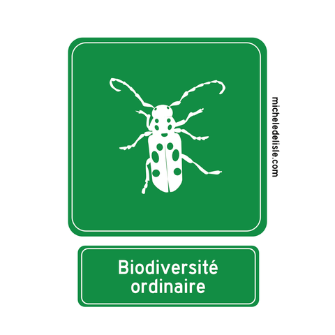 Un panneau vert de forme carrée. Au centre, le dessin d'un insecte blanc avec de longues antennes, un longicorne de l'asclépiade. En dessous, il y a le texte "Biodiversité ordinaire".
