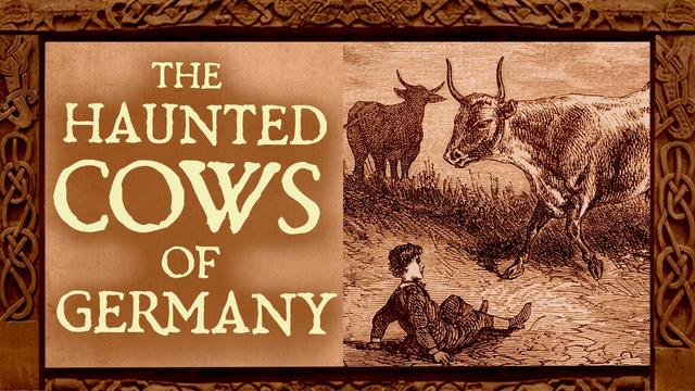 A Storybook-style drawing of a young boy who has fallen on his bottom in a field being menaced by an angry bull with tall horns. Overlaid text: The Haunted Cows of Germany