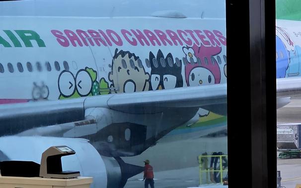 This image shows the side of an airplane decorated with large, colorful Sanrio character illustrations. Visible characters include Keroppi, Bad Badtz-Maru, My Melody, and others, painted across the fuselage beneath the text “SANRIO CHARACTERS.” The aircraft is parked at an airport gate, with part of the wing and engine visible. A ground crew member in a safety vest walks nearby, and the scene is viewed through an airport terminal window.