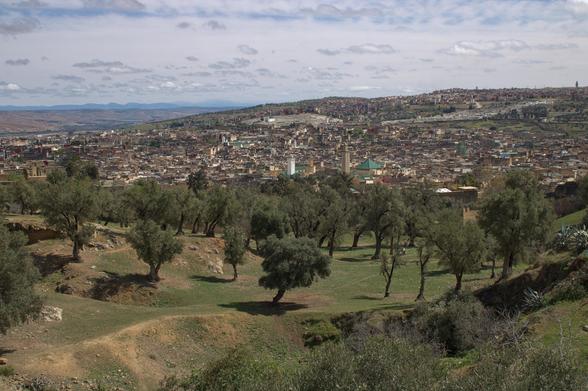 Landscape of farmland with a city in the background.