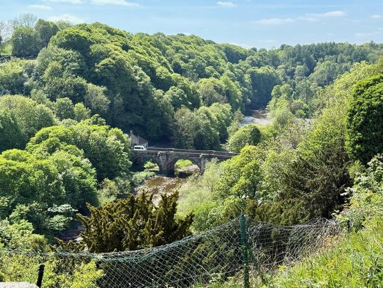 A stone bridge spans a river running through a dense, green forested valley, with a single white vehicle crossing it. The river winds gently between the hills, partially obscured by the thick canopy of trees. Sunlight filters through the foliage, highlighting the variations of green in the surrounding woodland. A netted fence in the foreground marks the edge of a grassy slope overlooking the valley, adding depth to the scene. The landscape stretches into the distance, where the hills and treetops blend into the horizon under a clear, pale blue sky with scattered clouds.