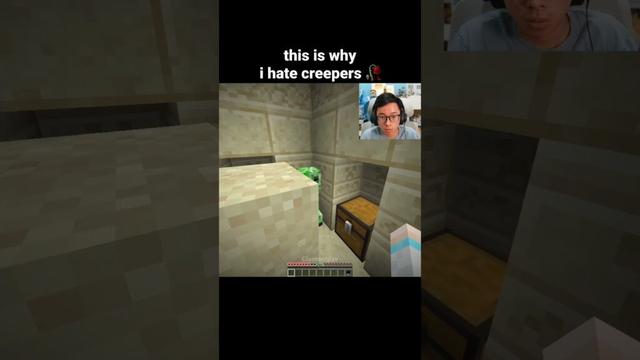 Minecraft Creeper Moment
