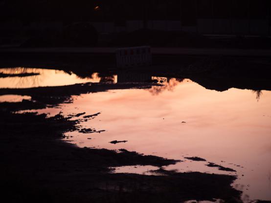 Reflection of sunset