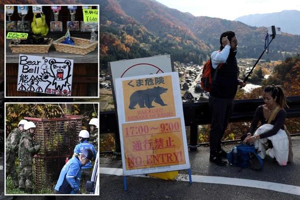 Japanese tourist village battles to keep bears at bay