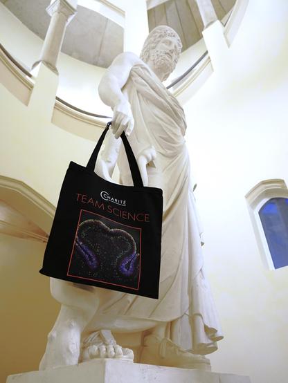 Asklepios-Statue. An seiner Hand hängt eine Baumwolltasche mit einer herzförmigen Aufnahme von Hirngewebe. Darüber in großen Lettern "TEAM SCIENCE" © Charité | Maren Minow