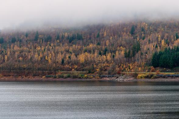 Das Bild zeigt eine neblige Herbstlandschaft an einem Gewässer, wahrscheinlich einem See oder Stausee, umgeben von bewaldeten Hügeln.
​Vordergrund: Das Wasser nimmt den unteren Teil des Bildes ein. Es ist dunkel und ruhig, mit einer leicht strukturierten, grauen Oberfläche, die die melancholische Stimmung verstärkt.
​Mittelgrund: Direkt am Ufer steht ein kleines, dunkles Haus oder eine Hütte. Es wirkt isoliert und fügt der ansonsten reinen Naturkulisse einen menschlichen Akzent hinzu. Die Hütte steht auf einem kleinen, flachen Streifen Land, bevor der Wald steil ansteigt.
​Hintergrund: Der Hügel ist dicht bewaldet und zeigt die typischen Herbstfarben. Man sieht eine Mischung aus Nadelbäumen (dunkelgrün) und Laubbäumen, deren Blätter in leuchtenden Gelb-, Orange- und Rosttönen gefärbt sind. Die Farben bilden einen warmen Kontrast zu dem ansonsten gedämpften Licht.
​Stimmung: Die Spitze des Hügels und der Himmel sind in einen dicken, weißen Nebel oder Dunst gehüllt, der die Konturen weicher macht und eine geheimnisvolle, fast mystische Atmosphäre schafft. Das Licht ist weich und diffus, was auf einen frühen Morgen oder einen bewölkten Tag hindeutet.
​Zusammenfassend strahlt das Bild eine Atmosphäre der Ruhe, Abgeschiedenheit und kühlen Herbststille aus.