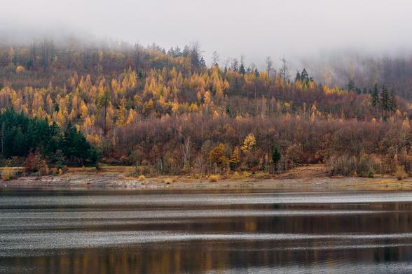 Das Bild zeigt eine neblige Herbstlandschaft an einem Gewässer, wahrscheinlich einem See oder Stausee, umgeben von bewaldeten Hügeln.
​Vordergrund: Das Wasser nimmt den unteren Teil des Bildes ein. Es ist dunkel und ruhig, mit einer leicht strukturierten, grauen Oberfläche, die die melancholische Stimmung verstärkt.
​Mittelgrund: Direkt am Ufer steht ein kleines, dunkles Haus oder eine Hütte. Es wirkt isoliert und fügt der ansonsten reinen Naturkulisse einen menschlichen Akzent hinzu. Die Hütte steht auf einem kleinen, flachen Streifen Land, bevor der Wald steil ansteigt.
​Hintergrund: Der Hügel ist dicht bewaldet und zeigt die typischen Herbstfarben. Man sieht eine Mischung aus Nadelbäumen (dunkelgrün) und Laubbäumen, deren Blätter in leuchtenden Gelb-, Orange- und Rosttönen gefärbt sind. Die Farben bilden einen warmen Kontrast zu dem ansonsten gedämpften Licht.
​Stimmung: Die Spitze des Hügels und der Himmel sind in einen dicken, weißen Nebel oder Dunst gehüllt, der die Konturen weicher macht und eine geheimnisvolle, fast mystische Atmosphäre schafft. Das Licht ist weich und diffus, was auf einen frühen Morgen oder einen bewölkten Tag hindeutet.
​Zusammenfassend strahlt das Bild eine Atmosphäre der Ruhe, Abgeschiedenheit und kühlen Herbststille aus.