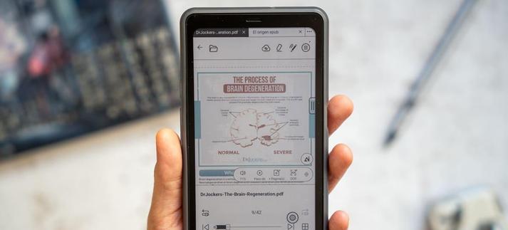 BOOX Palma 2 Pro / Luis J. Merino