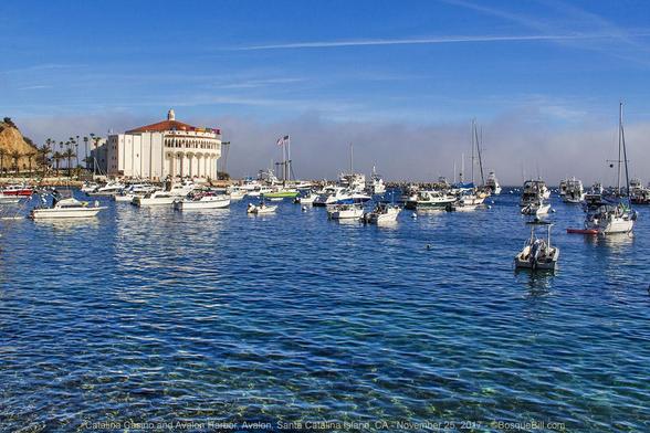 View of a shallow harbor with dozens of mostly white pleasure craft moored facing the right in a blue green sea. On the other side of the boats is a tall round building of white with pillars and red tile roof. Behind is a massive fog bank below a blue sky.
©BosqueBill.com