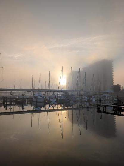 A photograph of a marina lightly obscured by fog. The sun has just risin and is being difused by the fog. There is perfectly still water in the foreground reflecting the entire scene.