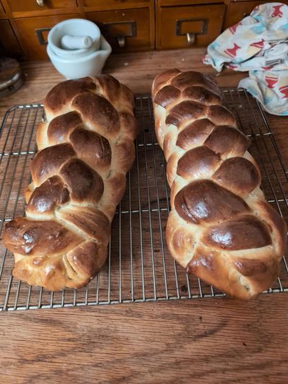 Two brown loaves of braided bread cool on a wire rack