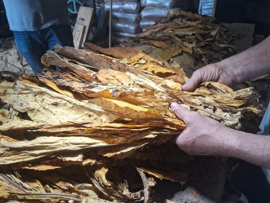 Imagem de capa da notícia, infelizmente por ser um bot hospedado gratuitamente, não consigo gerar texto alternativo!