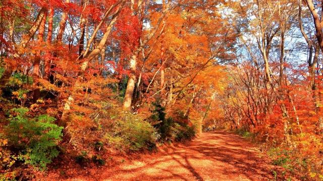 宮城県大崎市古川大奥防ライブカメラ Miyazaki Osaki Hurukawa Live Camera.world.cam