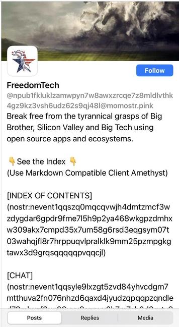 Freedom Tech on an instance called momostr dot pink
The account has a really long handle consisting of a string of lower case letters and numbers.
The strapline pix is a dark sky with big clouds shaped like horses, over a green pasture and lines of rain/sun coming down.
The bio pix is a hand holding a flaming torch. A five pointed star is behind the hand, two points on the left are blue, two on the right are striped red & white. There is a small red star between the flames.
Strapline reads - break free from the tyrannical grasps of Bog Brother, Silicone Valley and Big Tech using open source apps and ecosystems. 
There is a sequence/series of links - all of which are lengthy strings of lower case letters and numbers.