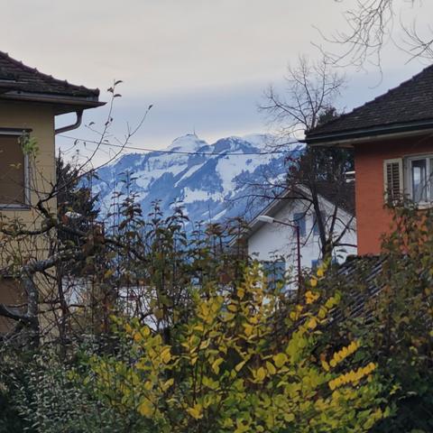 Büsche zwischen zwei Häusern und Blick auf Schneebedeckte Berge