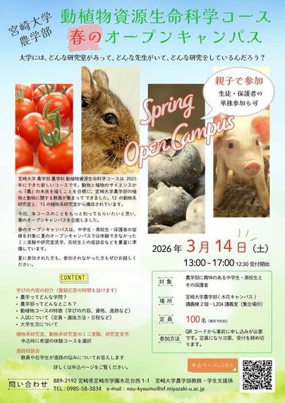 完成版春のオープンキャンパスーフライヤー (1)_ページ_1.jpgのサムネイル画像