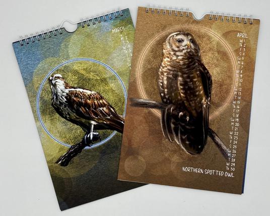 Photograph of two pages from a flip-top wire bound calendar, featuring illustrations of an Osprey and Northern Spotted owl.