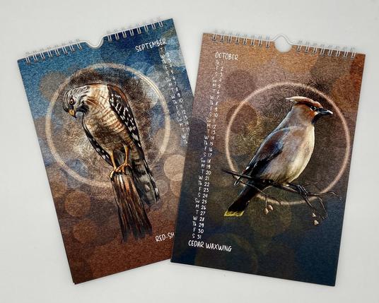 Photograph of two pages from a flip-top wire bound calendar, featuring illustrations of a Red-Shouldered Hawk and a Cedar Waxwing.