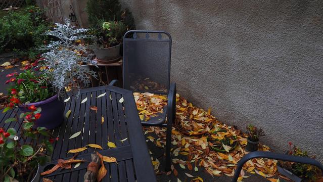 Terrasse mit Stuhl und herbstlichem Laub