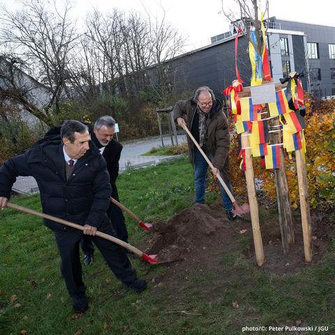 Professor Adolfo Meisel Roca, Rector of Uninorte, and Professor Stephan Jolie, Vice President for Learning and Teaching at JGU, joined forces with Lennin Gell Hernández Alarcón (center), Consul General of the Republic of Colombia in Frankfurt/Main, to plant a friendship tree on the Gutenberg campus. (photo/©: Peter Pulkowski / JGU)