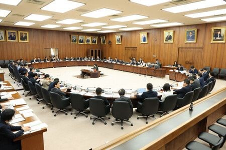 Japan Panel Lawmakers Urge Tighter Social Media Biz Rules