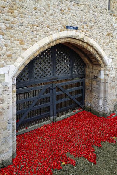 A stone archway entrance to a historic building, framed by light-coloured brickwork. The arched wooden gate, reinforced with black metal, is partially open. The ground in front of the gate is covered in thousands of vibrant red ceramic poppies, spilling outwards in a striking display. The scene evokes a sense of remembrance and tribute.