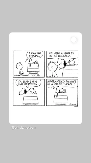 Vierteiliger Comic mit Charlie Brown und Snoopy.
1. Snoopy liegt entspannt auf dem Hüttendach. Charlie zu Snoopy: I envy you, Snoopy!
2. Snoopy hat sich zu Charlie umgedreht.
Charlie: you seem always to be so relaxed!
3. Charlie ist gegangen.
Snoopy: I'm glad I give that impression..
4. Snoopy wieder in seiner entspannten Rückenlage
Denkblase über Snoopy: unfortunately, on the inside, I'm a raging turmoil!