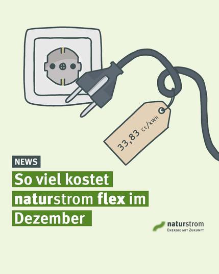 Illustration auf hellgrünem Hintergrund: links eine graue Wandsteckdose, daneben ein schwarzer Stromstecker mit Schlaufe; am Stecker hängt ein beigefarbenes Preisschild mit der Aufschrift „33,83 ct/kWh“. Groß gesetzte Schriftzüge: „NEWS“ sowie „So viel kostet naturstrom flex im Dezember“. Unten rechts das naturstrom-Logo mit dem Claim „Energie mit Zukunft“.