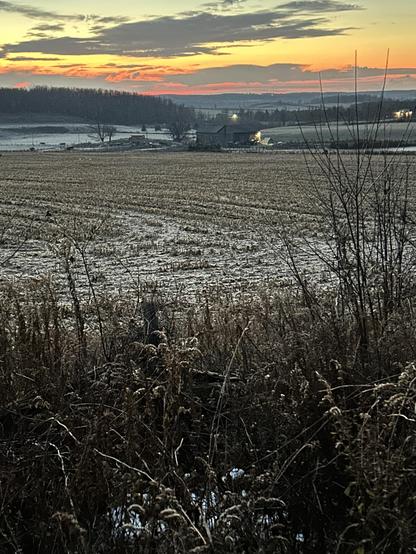 The sky is becoming orange and yellow and red under some clouds to the east, but overhead, the sky is pretty clear. It’s too dark to see any detail in the forests or meadows or shrubbery.  I enjoy this time of morning before much of the world is up and about.