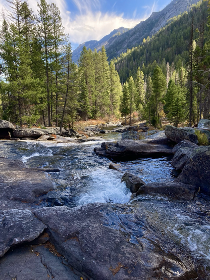 A stream rushes down and around rocks on its way into a canyon. It also disappears into pine forest where the grass is brown. Mountains rise on the right beneath a partly cloudy sky.