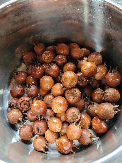 Bruine mispels in een rvs bak. Ze zie er bruin en rond uit en het kroontje lijkt een beetje op dat van een rozenbottel, maar dan aan de onderkant. 
De mispel germanica is een telg uit de rozenfamilie (appel en peer ook overigens). 
Daarnaast is ie als inheems te beschouwen hier en heb ik nog nooit zoveel kleine ieniemienie beestjes in m'n vergiet gehad. Honderden!! (Wel zielig voor ze want nu zijn ze wrs dood). 
Inheemse planten hebben sowieso een sterkere binding met t ecosysteem, dus het hoort helemaal dat daar veel beestjes in/op/aan zitten.