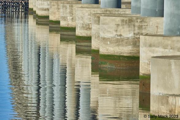 This color photo shows flat-topped circular concrete bridge posts at water level from bottom left to upper right. The posts are beige concrete and have green and brown rings around each one at water level. The posts and rings are reflected in slightly moving water. Out of the tops of the posts can be seen vertical gray structures, the reflections of which can be seen more clearly in the middle of the photo.
