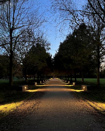 It shows a long, straight pathway lined with evenly spaced trees on both sides, captured during twilight. Warm ground lights along the edges of the path create a glowing golden strip that leads the eye toward the distant vanishing point. The trees are mostly bare, their branches silhouetted against a clear blue evening sky. Soft shadows and scattered leaves add a calm, atmospheric mood, while the surrounding parkland fades gently into the dim light.