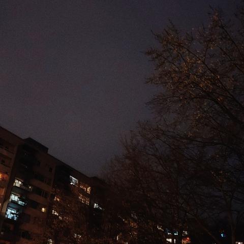 Hochhäuser im Dunkel, zwischen Himmel und Bäumen.