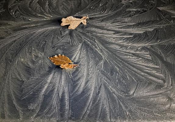 Ice flowers on the car roof with two leaves on top