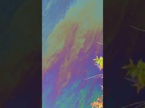 The flowing remnants of my need for petroleum #iridescent #oil #oilspill #environmentalawareness