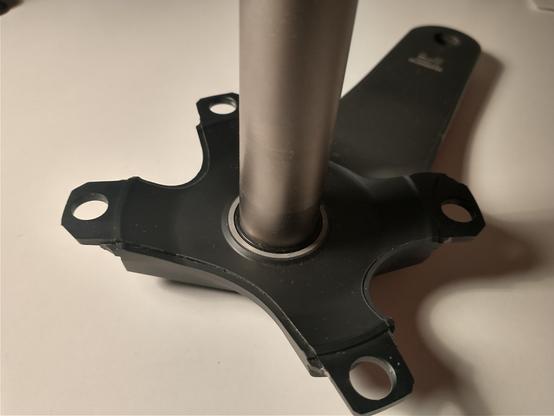 Innenseite derselben Kurbel. Halbschalen haben sich an der Klebenaht gelöst