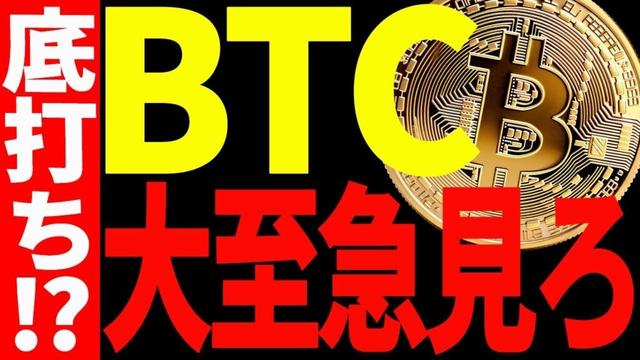 ⚠️大至急見て⚠️ビットコインの底打ちが近い⁉今後の最新戦略を教えます！