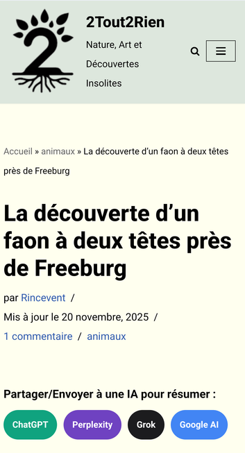 Capture d'écran sur le site 2tout2rien, avec en bas 4 boutons pour demander un résumé de l'article à une IA.