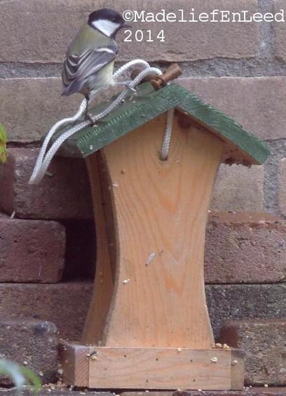 Koolmeesje op het dakje van een voederhuisje.