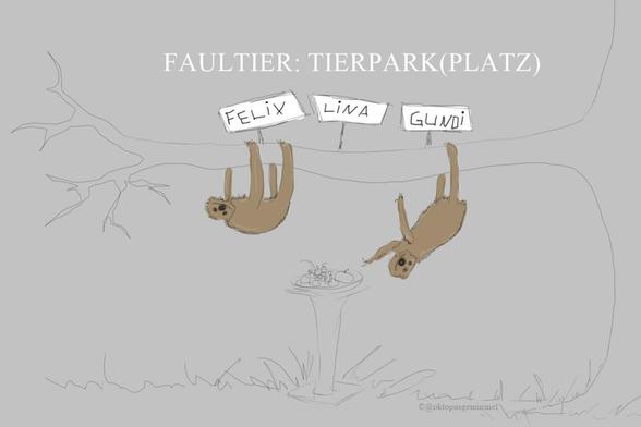 Einfache Skizze auf grauem Hintergrund. Sie zeigt zwei braune Faultier an einem langen Ast hängend, darüber drei Namensschilder (Felix, Lina, Gundi). Der mittlere Platz ist leer. Darunter steht eine Futterschale mit Obst, zu dem das eine Faultier (Gundi) hingreift. Über der Szene steht in weißen Großbuchstaben "FAULTIER: TIERPARK(PLATZ)".