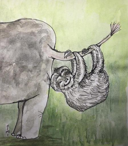 Zeichnung aquarelliert Cartoonart. Links im Bild das Hinterteil eines Elefanten, dessen Schwanz nach rechts oben gebogen ist. Daran hängt ein freundlich grinsendes Faultier.