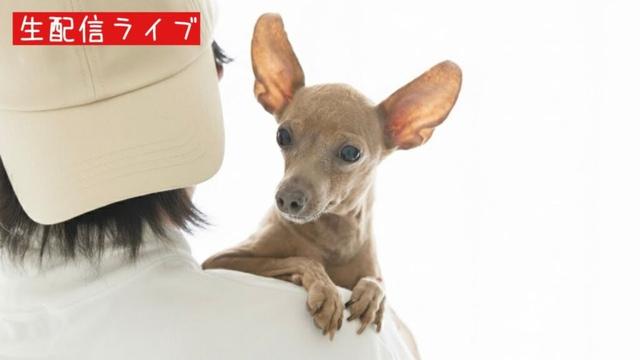 レイス君の2025冬グッズのラインナップ紹介