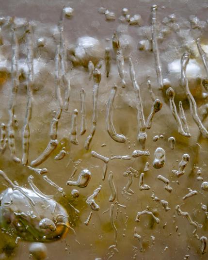 A beige image of up close image of ice. There are strings of ice through out with some bubles of ice in the background