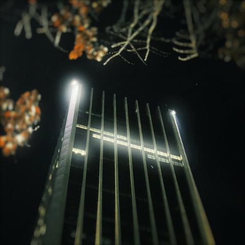 A tall city building's lights shine brightly atop its corners at night, framed in the foreground by blurry tree branches.