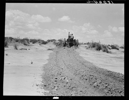 The image is a black and white photograph depicting an agricultural scene from the Dust Bowl era in Texas. In the center of the frame, we see a lone farmer driving a small tractor with large rear wheels through a field covered with dry dirt paths amidst sparse vegetation. The sky above him is partly cloudy.
Additional information about this photo can be found at "Leveling hummocks in dust bowl" which mentions that it was taken thirty miles north of Dalhart, Texas. A caption reads: 'Farmer: "Every dime I got is tied up right here. If I don't get it out, I've got to drive off and leave it. Where would I go and what would I do? I know what the land did once for me, maybe it will do it again." Son: "It would be better if the sod had never been broke. My father's broke plenty of it. Could I get a job in California?"' The photo was taken by Dorothea Lange and is available at https://images.loener.nl/DorotheaLange/full/6495/6495b87aba25398d90c509fe.jpg.